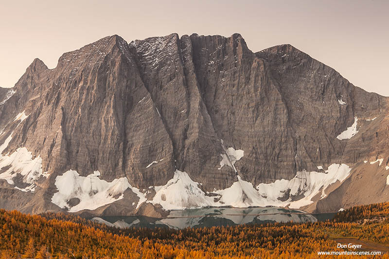 Image of the Rockwall above Floe Lake, larches