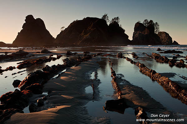 Image of sea stacks at Point of the Arches, Shi Shi Beach, Olympic National Park.