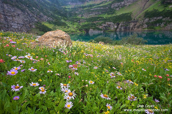 Image of Stoney Indian Lake and flower meadows..