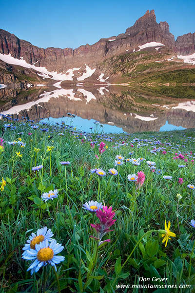 Image of Flower meadows at Sue Lake