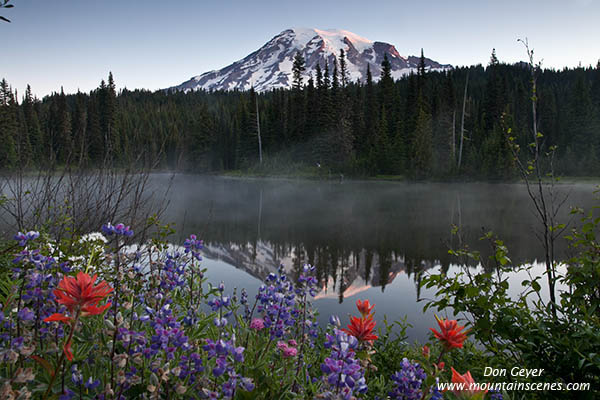 Image of Mount Rainier reflected in Reflection Lakes above flowers