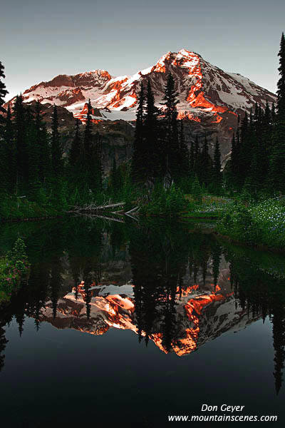 Image of Mount Rainier Evening Reflection
