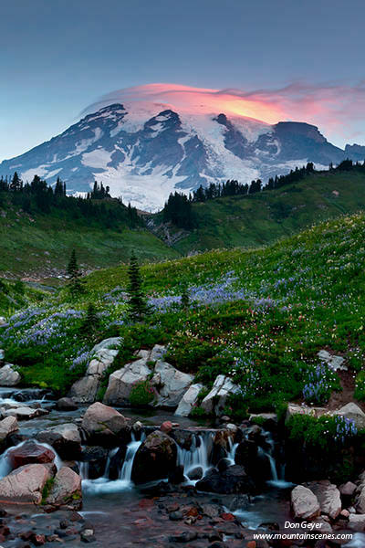 Image of Mount Rainier and pink lenticular cloud.