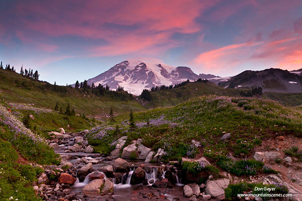 Image of Mount Rainier and Pink Clouds.