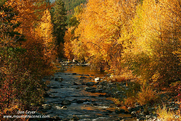 Image of Peshastin Creek in Fall