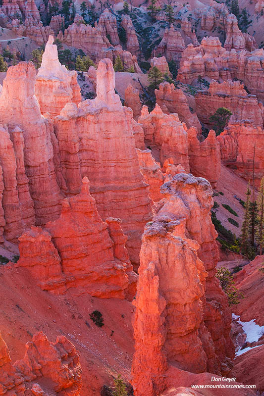 Image of Bryce Canyon, hoodoos