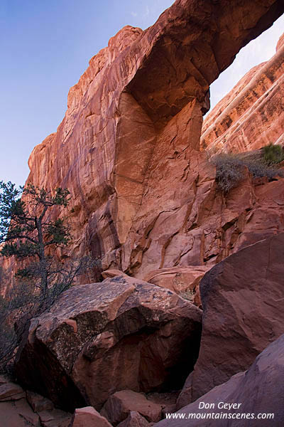 Image of Wall Arch
