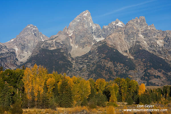 Grand Teton and Cathedral Group above autumn colors, Grand Teton National Park