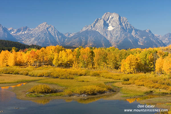 Image of Mount Moran in autumn above aspen at Oxbow Bend, Grand Teton National Park