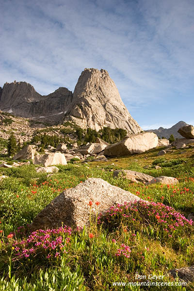 Picture of Pingora Peak above flower meadows in Cirque of the Towers