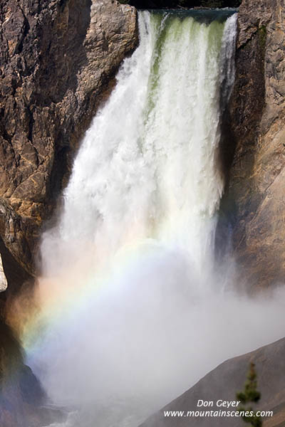 Image of Lower Falls and rainbow, Grand Canyon of the Yellowstone, Yellowstone National Park.