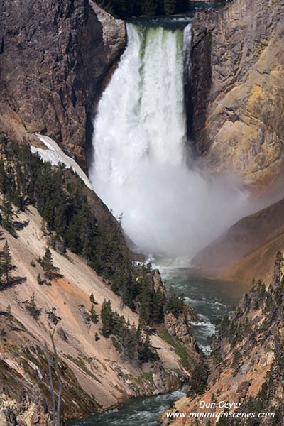 Image of Lower Falls, Grand Canyon of the Yellowstone, Yellowstone National Park.