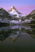 Image of Mount Assiniboine reflected in Lake Magog, dawn