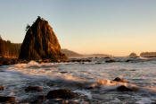 Image of Evening light on Rialto Beach, Olympic National Park