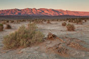 Image of sunset on Kit Fox Hills above Mesquite Sand Dunes, Death Valley