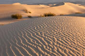 Image of Mesquite Sand Dunes at sunrise, Death Valley