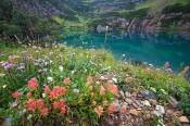 Image of flowers and Stoney Indian Lake in Glacier.