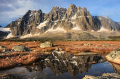 Image of The Ramparts reflected in Tonquin Valley