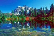 Image of Mount Shuksan Reflection, Highwood Lake, North Cascades