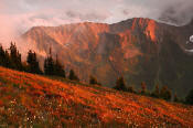 Image of Evening Light in Lost Basin, Olympic National Park.