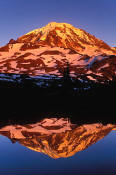 Image of Mount Rainier Reflection, Spray Park