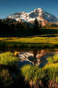 Image of Mount Rainier Reflection, Indian Henry's