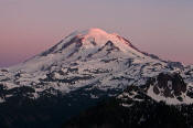Image of Morning alpenglow on Mount Rainier