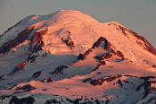 Image of Mount Rainier from Shriner Peak