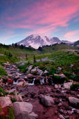 Image  of Mount Rainier and pink clouds, Edith Creek.