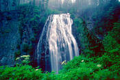 Image of Narada Falls