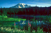 Image of Mount Rainier above Reflection Lake