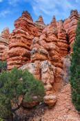 Image of Hoodoos, Red Canyon