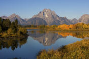 Image of Mount Moran and autumn colors reflected at Oxbow Bend, Grand Teton National Park