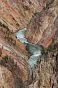 Image of Grand Canyon of the Yellowstone River, Yellowstone National Park.