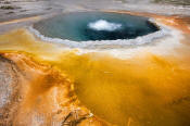 Image of Crested Pool, Yellowstone National Park
