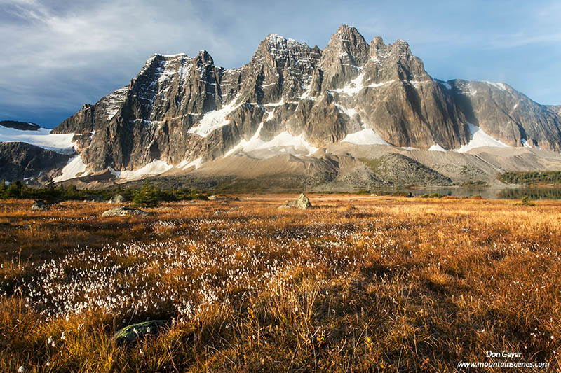 Image of The Ramparts above Tonquin Valley