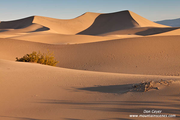 Image of Mesquite Sand Dunes, Stovepipe Wells, Death Valley