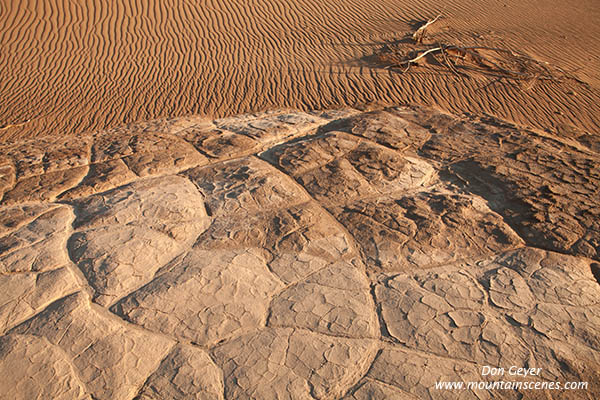 Image of patterned stone, Mesquite Sand Dunes, Stovepipe Wells, Death Valley