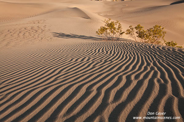 Image of Mesquite Sand Dunes, Stovepipe Wells, Death Valley