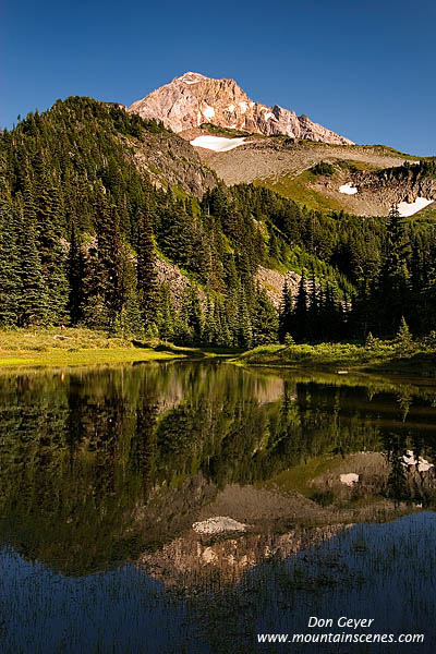 Image of Mount Hood Reflection