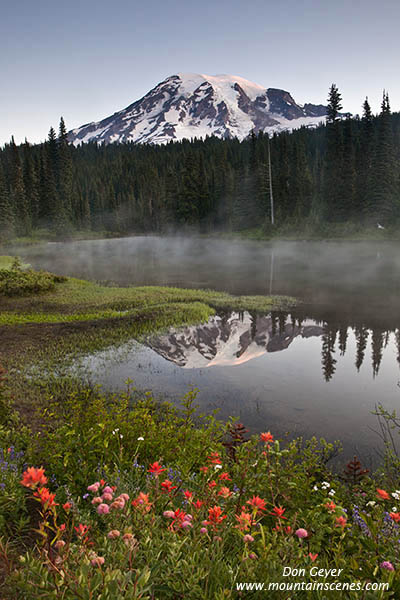 Image of Mount Rainier above flowers and Reflections Lakes