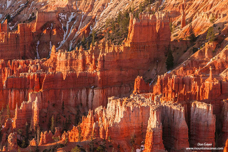 Image of The Cathedral, Bryce Canyon