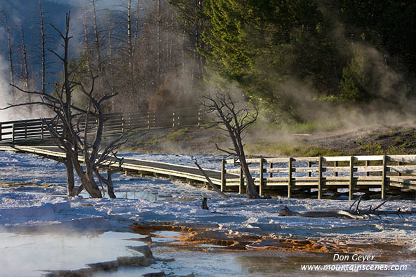 Image of Main Terrace and boardwalk, Mamoth Hot Springs, Yellowstone National Park.