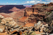 Image of Shafer Canyon, Canyonlands NP