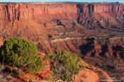 Image of Gooseberry Canyon, Canyonlands NP