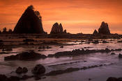 Image of Point of the Arches, Shi Shi Beach, Olympic National Park