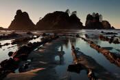 Image of Point of the Arches, Shi Shi Beach, Olympic National Park.