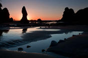 Image of Point of the Arches at sunset, Shi Shi Beach, Olympic National Park.