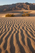 Image of Mesquite Sand Dunes, Tucki Mountain, Death Valley