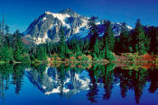 Image of Mount Shuksan reflected in Picture Lake, North Cascades